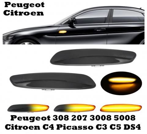 Peugeot Citroen Dynamisches Signallicht E-Prüfz.